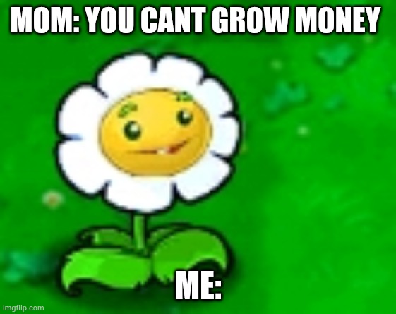 Money does | MOM: YOU CANT GROW MONEY; ME: | image tagged in pvz | made w/ Imgflip meme maker