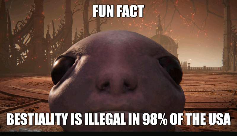 1984 | FUN FACT; BESTIALITY IS ILLEGAL IN 98% OF THE USA | made w/ Imgflip meme maker