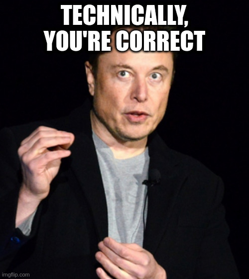 Camping results in more sniper kills | TECHNICALLY, YOU'RE CORRECT | image tagged in musk | made w/ Imgflip meme maker