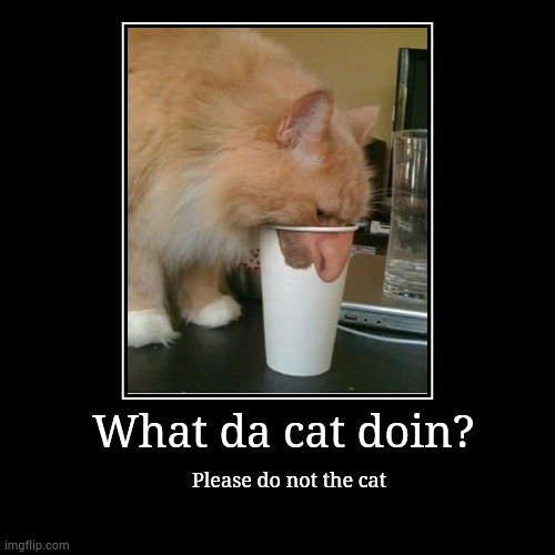 What the cat doin? | image tagged in demotivationals | made w/ Imgflip demotivational maker