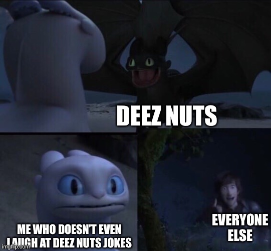I don’t get it |  DEEZ NUTS; EVERYONE ELSE; ME WHO DOESN’T EVEN LAUGH AT DEEZ NUTS JOKES | image tagged in memes,how to train your dragon,funny,deez nuts,not funny,funny memes | made w/ Imgflip meme maker