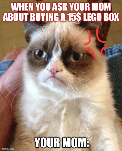 What a disaster |  WHEN YOU ASK YOUR MOM ABOUT BUYING A 15$ LEGO BOX; YOUR MOM: | image tagged in memes,grumpy cat | made w/ Imgflip meme maker