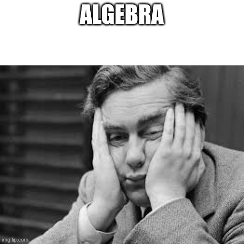 ALGEBRA | made w/ Imgflip meme maker