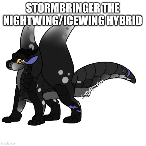 STORMBRINGER THE NIGHTWING/ICEWING HYBRID | made w/ Imgflip meme maker