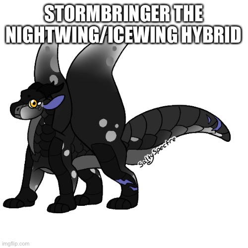 I surprisingly came up with this name after remembering an episode of BeyBlade metal fusion | STORMBRINGER THE NIGHTWING/ICEWING HYBRID | made w/ Imgflip meme maker