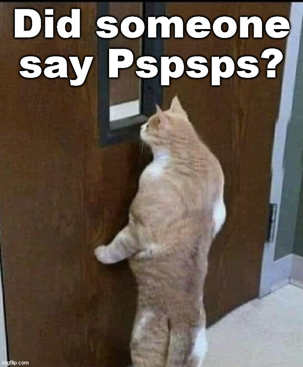 Did someone say Pspsps? | image tagged in cats | made w/ Imgflip meme maker