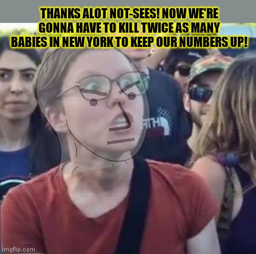 Angry Liberal | THANKS ALOT NOT-SEES! NOW WE'RE GONNA HAVE TO KILL TWICE AS MANY BABIES IN NEW YORK TO KEEP OUR NUMBERS UP! | image tagged in angry liberal | made w/ Imgflip meme maker