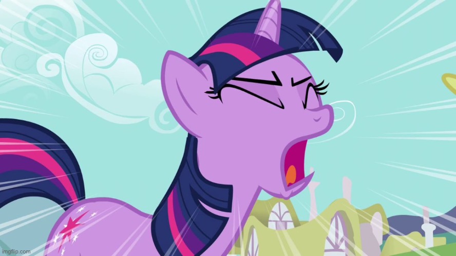 Twilight Sparkle Yelling | image tagged in twilight sparkle yelling | made w/ Imgflip meme maker