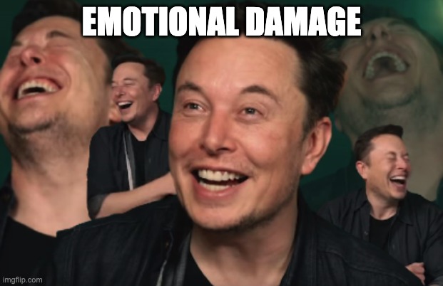 Elon Musk Laughing | EMOTIONAL DAMAGE | image tagged in elon musk laughing | made w/ Imgflip meme maker