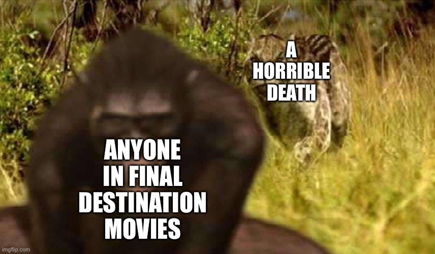 True that | ANYONE IN FINAL DESTINATION MOVIES; A HORRIBLE DEATH | image tagged in dinofelis sneaks on australopithecus | made w/ Imgflip meme maker