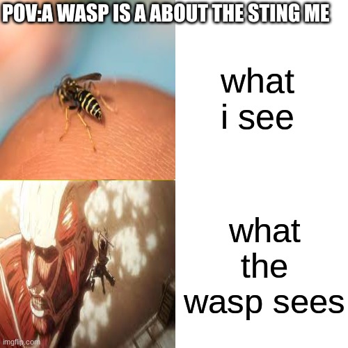 POV:A WASP IS A ABOUT THE STING ME; what i see; what the wasp sees | image tagged in attack on titan | made w/ Imgflip meme maker