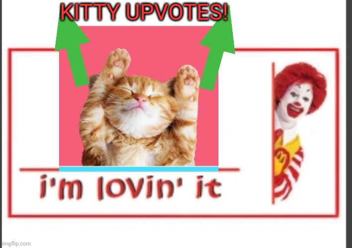 KITTY UPVOTES! | made w/ Imgflip meme maker