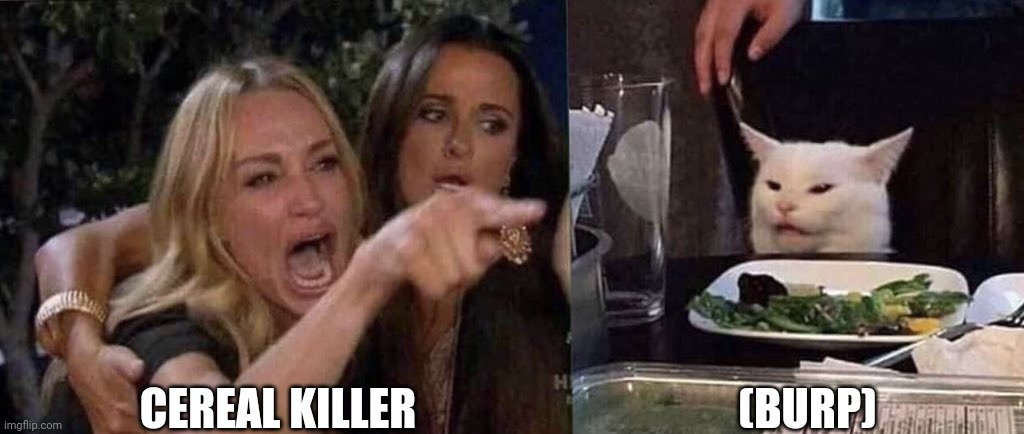 woman yelling at cat | CEREAL KILLER (BURP) | image tagged in woman yelling at cat | made w/ Imgflip meme maker