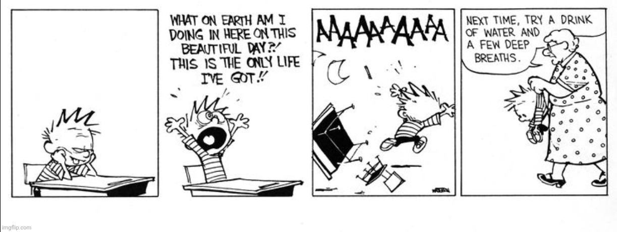 school in a nutshell | image tagged in calvin and hobbes,comics,school | made w/ Imgflip meme maker