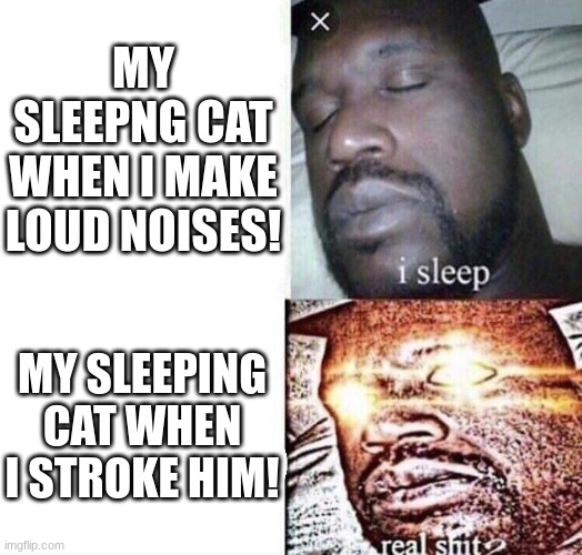 Cat! |  MY SLEEPNG CAT WHEN I MAKE LOUD NOISES! MY SLEEPING CAT WHEN I STROKE HIM! | image tagged in i sleep real shit | made w/ Imgflip meme maker