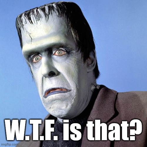 Herman Munster | W.T.F. is that? | image tagged in herman munster | made w/ Imgflip meme maker