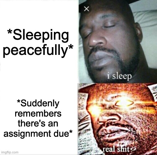 Sleeping Shaq Meme | *Sleeping peacefully*; *Suddenly remembers there's an assignment due* | image tagged in memes,sleeping shaq | made w/ Imgflip meme maker