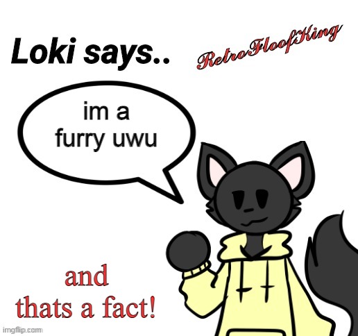 loki is a furry if u dont think so u are blind | im a furry uwu; and thats a fact! | image tagged in loki says by retrofloofking,furry,cats,funny,memes,ukrainian lives matter | made w/ Imgflip meme maker