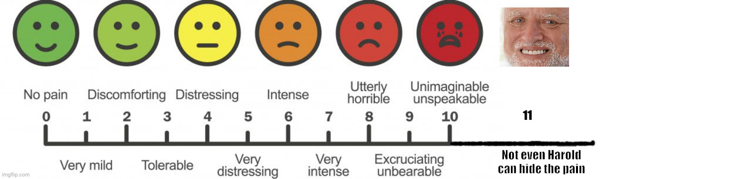 11; Not even Harold can hide the pain | image tagged in pain scale,blank white template | made w/ Imgflip meme maker