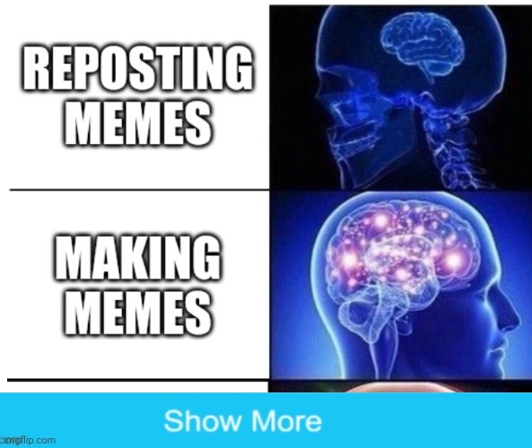 Expanding Brain 5 Panel | image tagged in illusion 100,expanding brain 5 panel,funny | made w/ Imgflip meme maker
