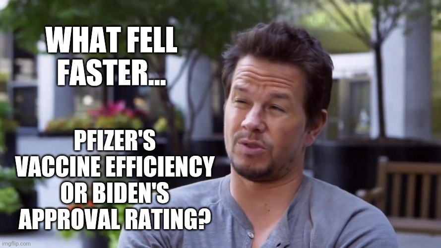 Both fell pretty fast. | WHAT FELL FASTER... PFIZER'S VACCINE EFFICIENCY OR BIDEN'S APPROVAL RATING? | image tagged in curious wahlberg | made w/ Imgflip meme maker