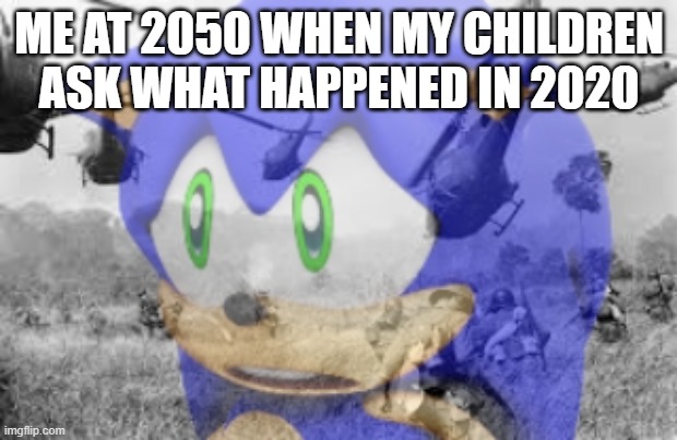 Sonic veitnam war | ME AT 2050 WHEN MY CHILDREN ASK WHAT HAPPENED IN 2020 | image tagged in sonic veitnam war | made w/ Imgflip meme maker