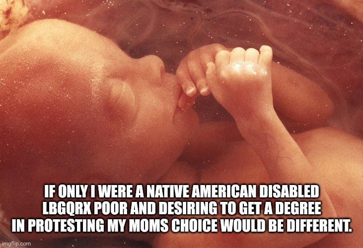 But Bye Row Row Row Your Boat | IF ONLY I WERE A NATIVE AMERICAN DISABLED LBGQRX POOR AND DESIRING TO GET A DEGREE IN PROTESTING MY MOMS CHOICE WOULD BE DIFFERENT. | image tagged in abortion is murder,dnc,stupid liberals,supreme court,god,science | made w/ Imgflip meme maker