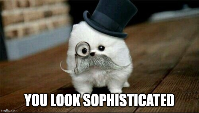 Sophisticated Dog | YOU LOOK SOPHISTICATED | image tagged in sophisticated dog | made w/ Imgflip meme maker