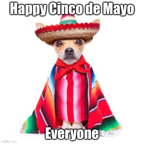 Happy May 5th!!! | Happy Cinco de Mayo; Everyone | image tagged in cinco de mayo | made w/ Imgflip meme maker