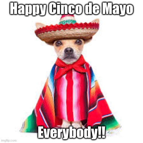 Happy May 5th | Happy Cinco de Mayo; Everybody!! | image tagged in cinco de mayo | made w/ Imgflip meme maker