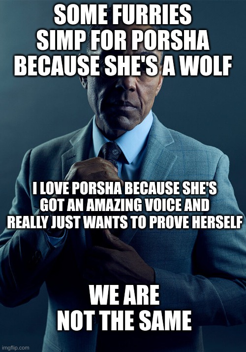 You got the pervs vs me | SOME FURRIES SIMP FOR PORSHA BECAUSE SHE'S A WOLF; I LOVE PORSHA BECAUSE SHE'S GOT AN AMAZING VOICE AND REALLY JUST WANTS TO PROVE HERSELF; WE ARE NOT THE SAME | image tagged in gus fring we are not the same | made w/ Imgflip meme maker