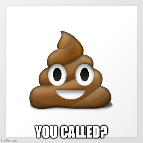 Smiling Emoji Poop | YOU CALLED? | image tagged in smiling emoji poop | made w/ Imgflip meme maker