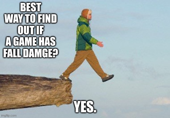 Walking off cliff | BEST WAY TO FIND OUT IF A GAME HAS FALL DAMGE? YES. | image tagged in walking off cliff | made w/ Imgflip meme maker