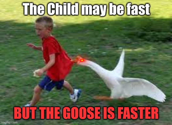 Honk | The Child may be fast; BUT THE GOOSE IS FASTER | image tagged in honk | made w/ Imgflip meme maker