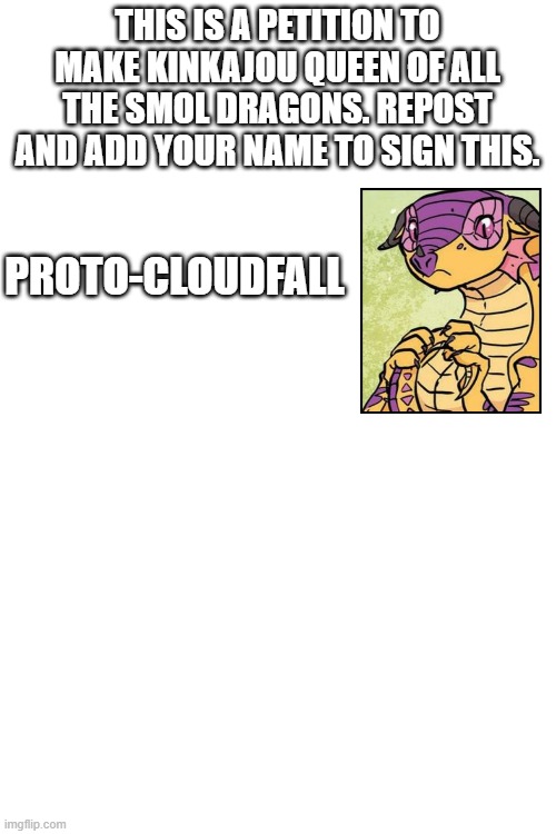 Sign this? | THIS IS A PETITION TO MAKE KINKAJOU QUEEN OF ALL THE SMOL DRAGONS. REPOST AND ADD YOUR NAME TO SIGN THIS. PROTO-CLOUDFALL | image tagged in blank white template,wings of fire | made w/ Imgflip meme maker