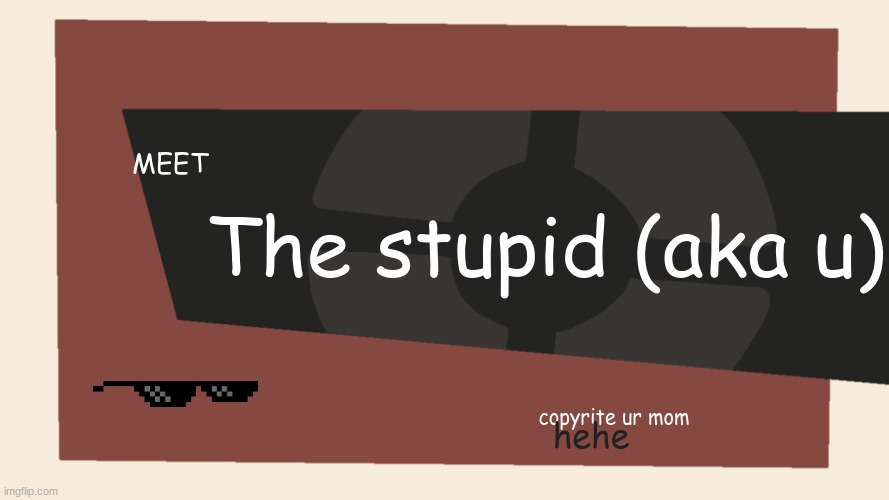 Meet the <Blank> | The stupid (aka u); MEET; copyrite ur mom; hehe | image tagged in meet the blank | made w/ Imgflip meme maker