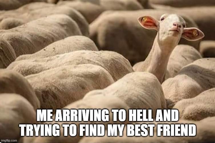 ME ARRIVING TO HELL AND TRYING TO FIND MY BEST FRIEND | image tagged in funny memes | made w/ Imgflip meme maker