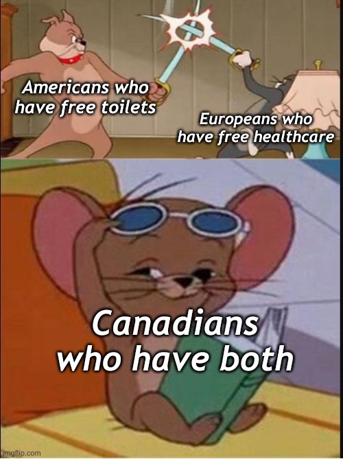 the worlds a odd place | Americans who have free toilets; Europeans who have free healthcare; Canadians who have both | image tagged in tom and spike fighting | made w/ Imgflip meme maker