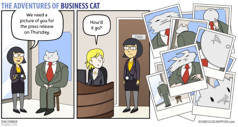 Business Cat takes photos | image tagged in business cat,photos,cat,comic | made w/ Imgflip meme maker
