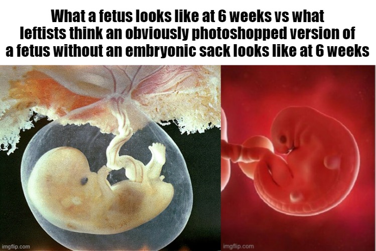 I Don't Know Why Science has to be so Politicized, but What are You Going to Do? | made w/ Imgflip meme maker