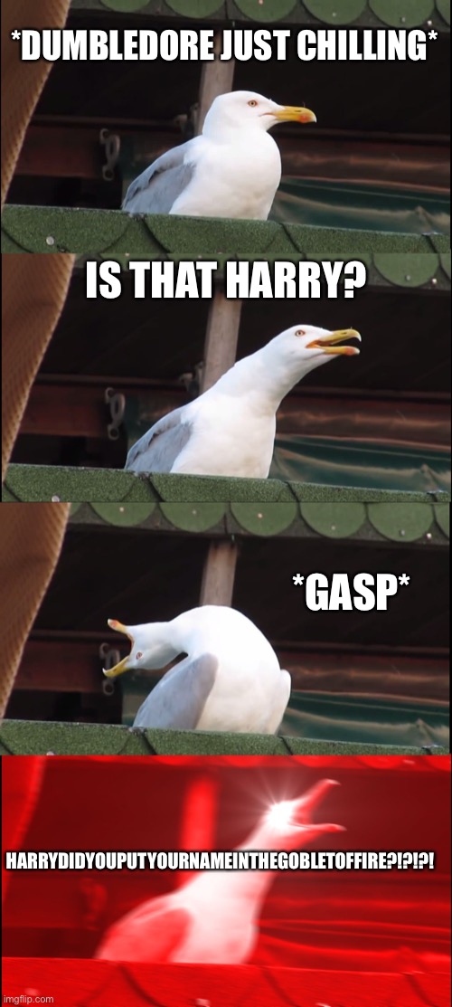 Goblet Of Fire | *DUMBLEDORE JUST CHILLING*; IS THAT HARRY? *GASP*; HARRYDIDYOUPUTYOURNAMEINTHEGOBLETOFFIRE?!?!?! | image tagged in memes,inhaling seagull | made w/ Imgflip meme maker