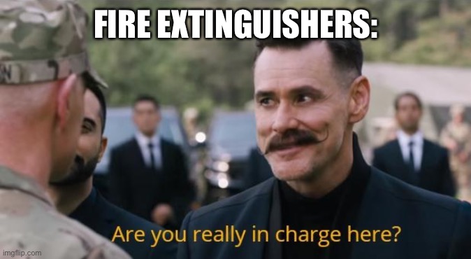Are you really in charge here? | FIRE EXTINGUISHERS: | image tagged in are you really in charge here | made w/ Imgflip meme maker