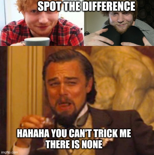 Spot the difference | SPOT THE DIFFERENCE; HAHAHA YOU CAN'T TRICK ME
THERE IS NONE | image tagged in ed sheeran | made w/ Imgflip meme maker