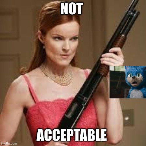 (mod note: i agree) | NOT; ACCEPTABLE | image tagged in wife with a shotgun | made w/ Imgflip meme maker