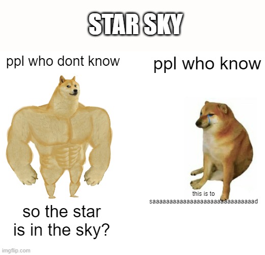 just search it, trust me | STAR SKY; ppl who dont know; ppl who know; this is to saaaaaaaaaaaaaaaaaaaaaaaaaaaaaad; so the star is in the sky? | image tagged in memes,buff doge vs cheems | made w/ Imgflip meme maker