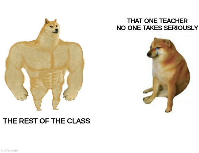 that one teacher | THAT ONE TEACHER NO ONE TAKES SERIOUSLY; THE REST OF THE CLASS | image tagged in memes,buff doge vs cheems | made w/ Imgflip meme maker