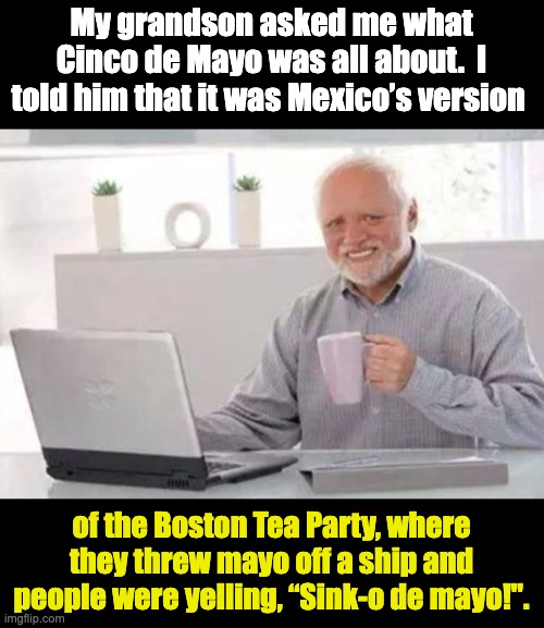 Cinco | My grandson asked me what Cinco de Mayo was all about.  I told him that it was Mexico’s version; of the Boston Tea Party, where they threw mayo off a ship and people were yelling, “Sink-o de mayo!". | image tagged in harold | made w/ Imgflip meme maker