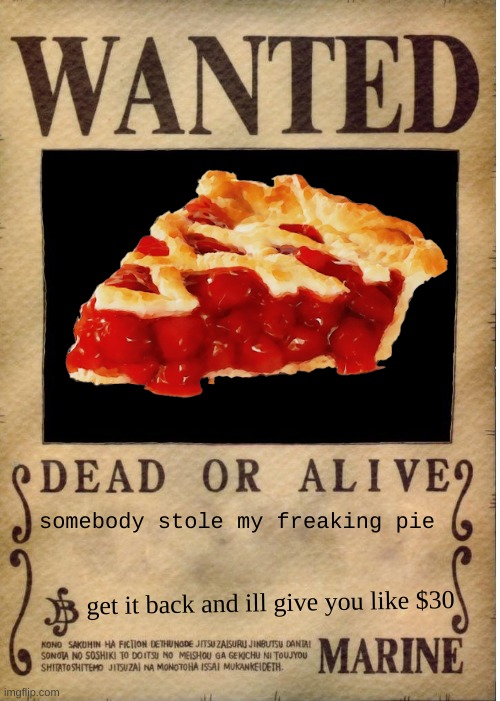 One piece wanted poster template | somebody stole my freaking pie; get it back and ill give you like $30 | image tagged in one piece wanted poster template | made w/ Imgflip meme maker