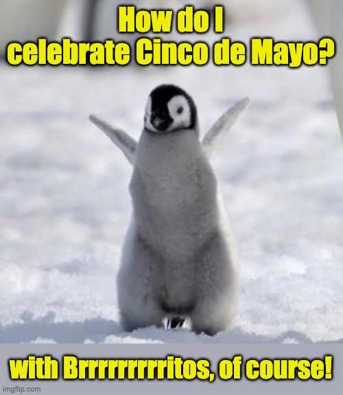 Brrrr | How do I celebrate Cinco de Mayo? with Brrrrrrrrritos, of course! | image tagged in happy penguin | made w/ Imgflip meme maker