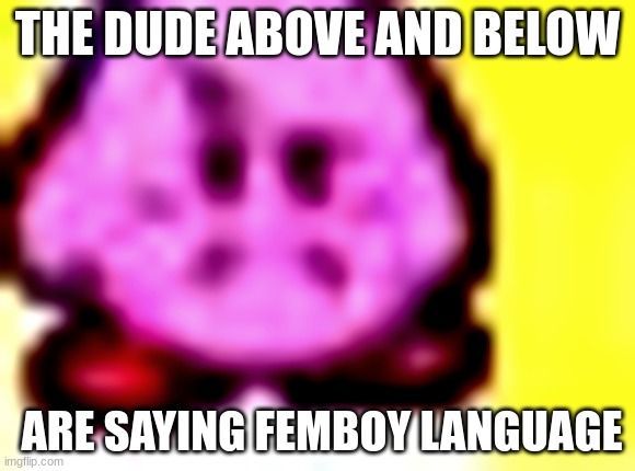 disapproved kirby | THE DUDE ABOVE AND BELOW; ARE SAYING FEMBOY LANGUAGE | image tagged in disapproved kirby | made w/ Imgflip meme maker